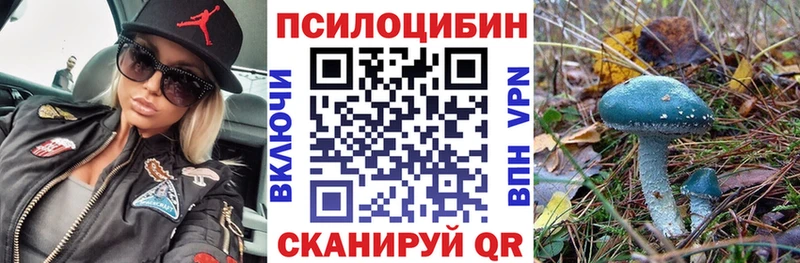 гидра ТОР  где продают   Благовещенск  Галлюциногенные грибы Magic Shrooms 